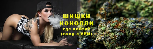ПСИЛОЦИБИНОВЫЕ ГРИБЫ Белокуриха