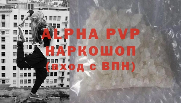 ПСИЛОЦИБИНОВЫЕ ГРИБЫ Белокуриха