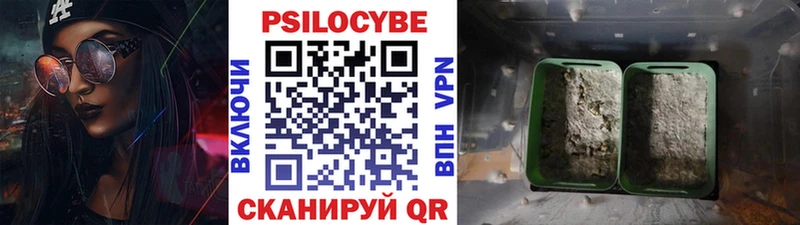 Купить где  Городовиковск  Галлюциногенные грибы мицелий 